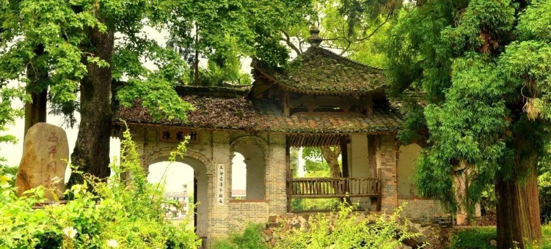 福建省造的这种两角银币,现在收藏市场价值多少?