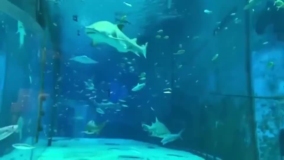 逃出豪华宫殿