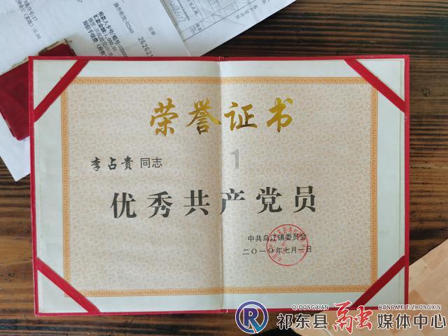 救援非洲金猫